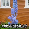 Конкурс "Уютный дворик". Июль 2012 год.